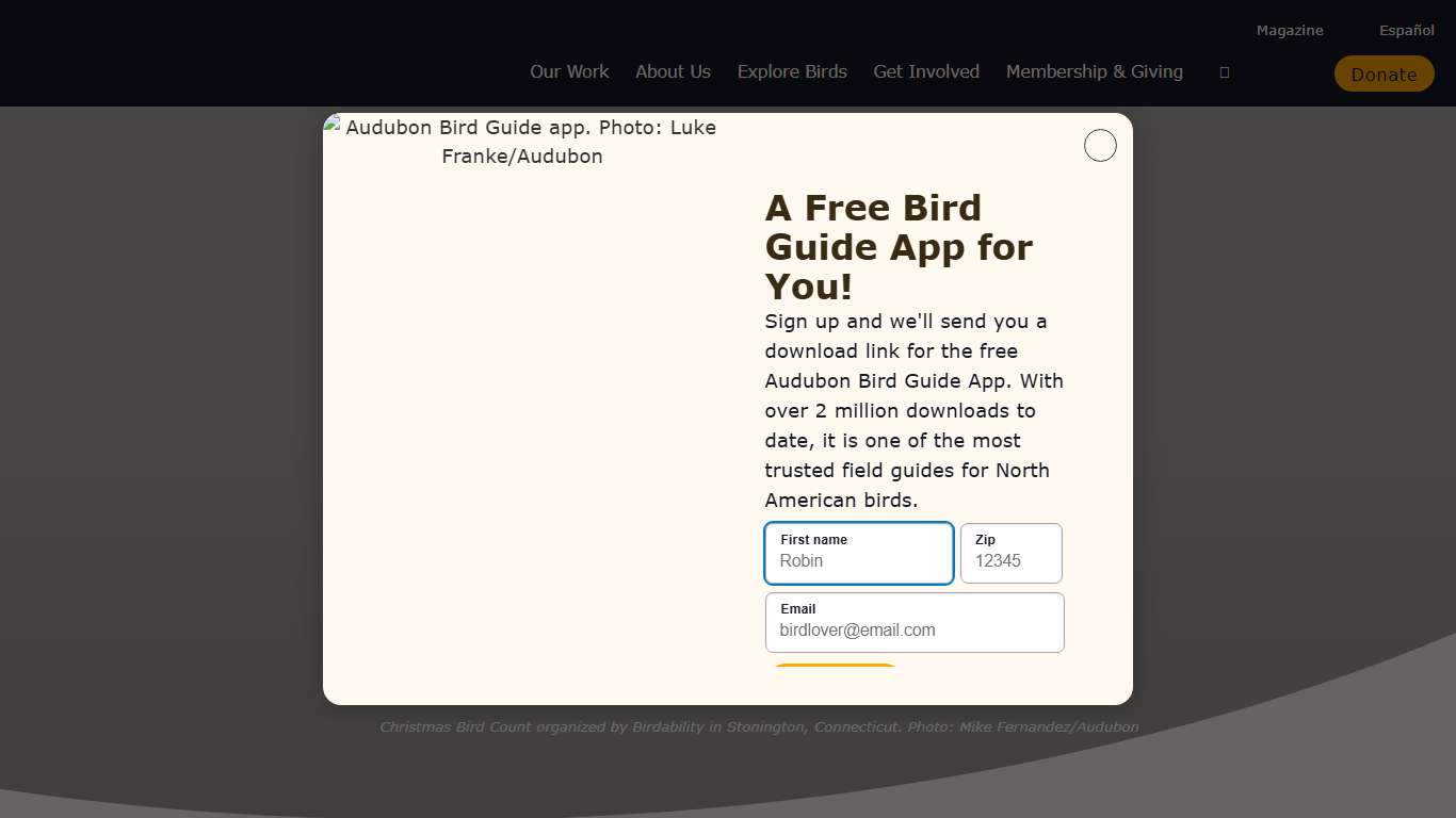 Join the Christmas Bird Count Audubon